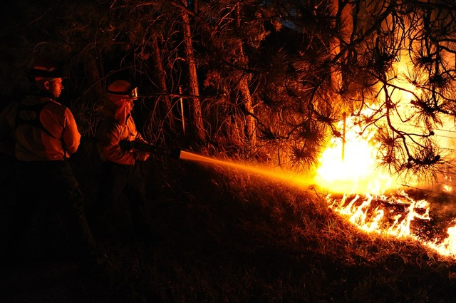Previsioni di pericolo per incendi boschivi.
